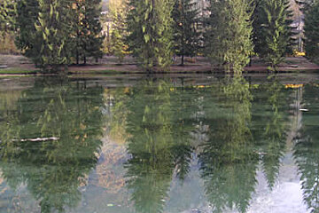 Trees are reflected in a lake with mountains in the background