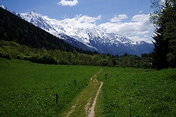 A dirt road going through a grassy field with mountains in the background