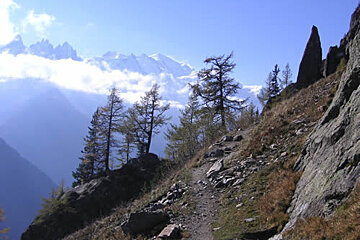 A path in the mountains with trees and mountains in the background