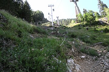 A cable car is going up a hill with trees in the background