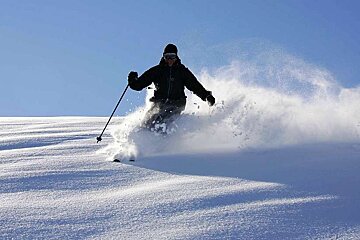 An image of an off piste skier in powder