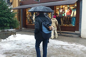 An image of a dog being carried through Chamonix in a rucksack