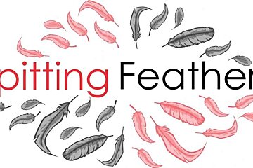 an image of a company logo with feathers around some words