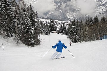 skier on black run