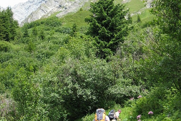A man with a backpack is walking down a path with a mountain in the background