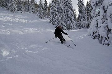 A person skiing down a snowy hill with trees covered in snow