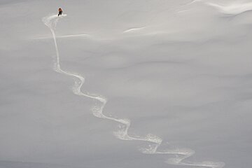 tracks in powder snow