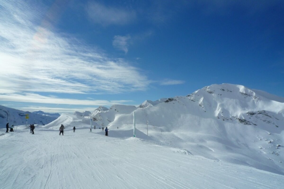 Top of Abricotine