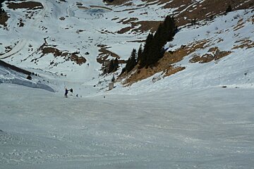 People skiing down a snowy slope with trees in the background