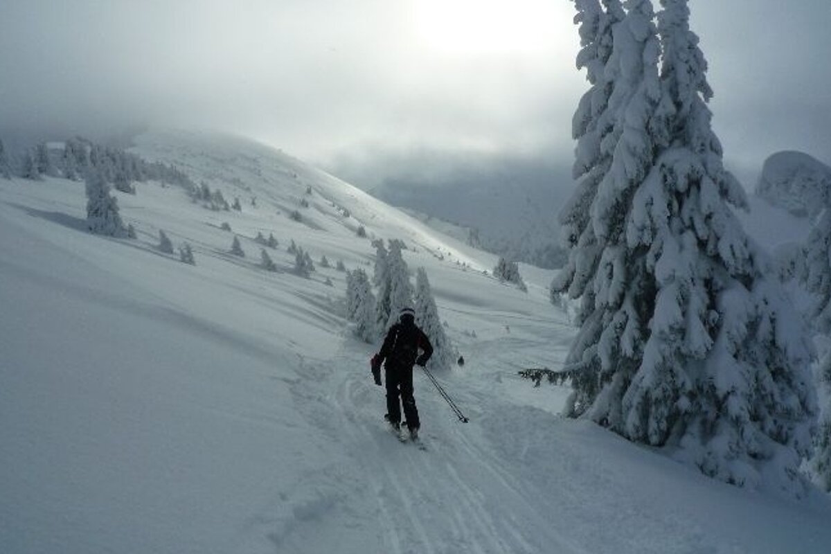 Skier heading in direction of powder