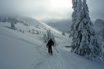 Skier heading in direction of powder