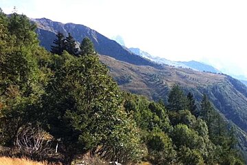 An image of the view from the path up to Flegere from Argentiere