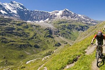 Two people are riding bicycles down a trail in the mountains