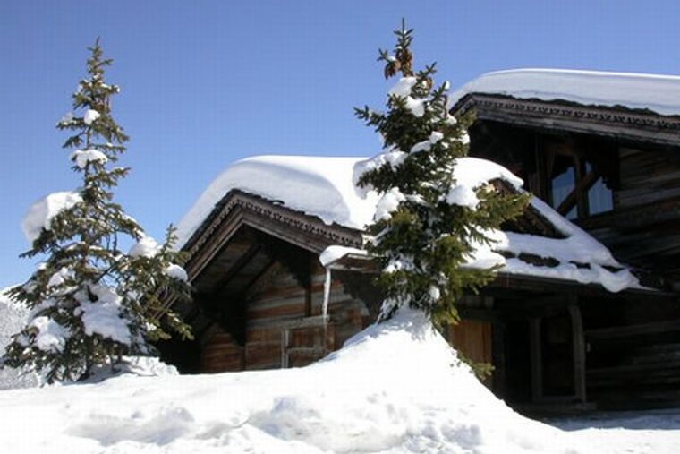 A snowy roof of a house with trees in the foreground