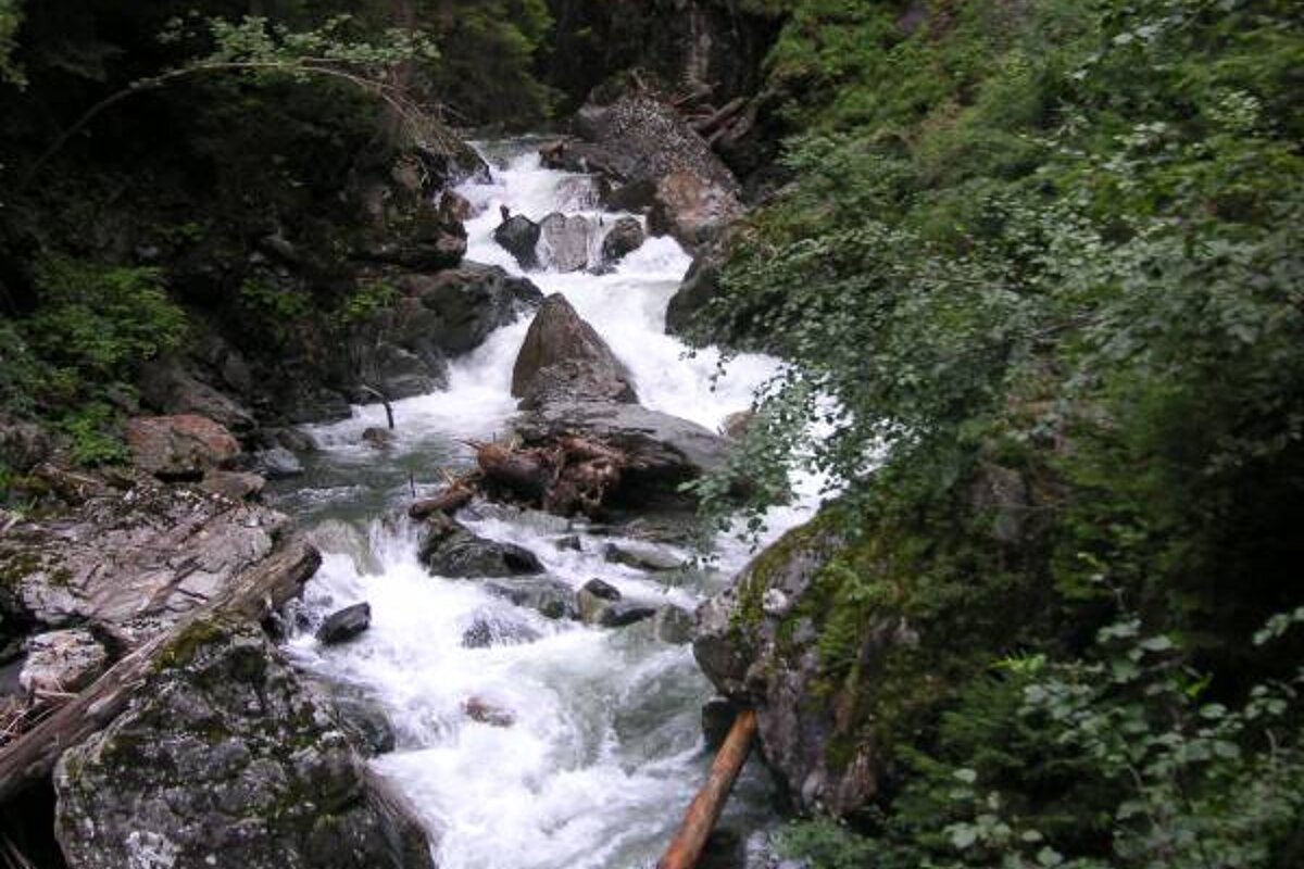 A river flowing through a lush green forest surrounded by rocks and trees