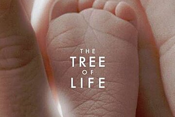 A movie poster for the tree of life written and directed by terrence malick