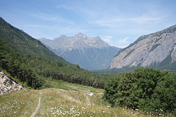 A valley with mountains in the background and a path in the foreground