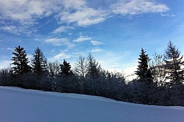 Tree line at base of Aiguille Rouge