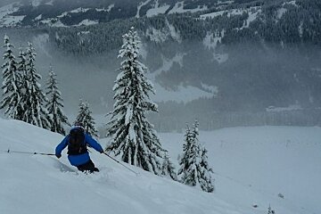 A person skiing down a snowy hill with trees in the background
