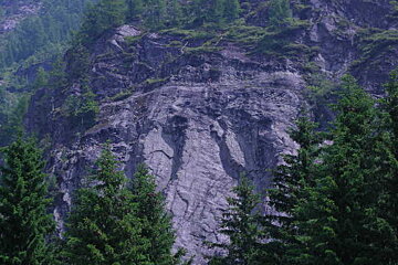 A rocky cliff with trees on the side of it