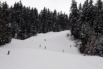 A group of people skiing down a snow covered slope