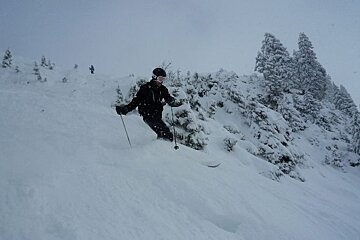 A person skiing down a snowy hill with trees in the background