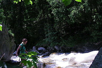 A woman in a green shirt is crossing a river in the woods