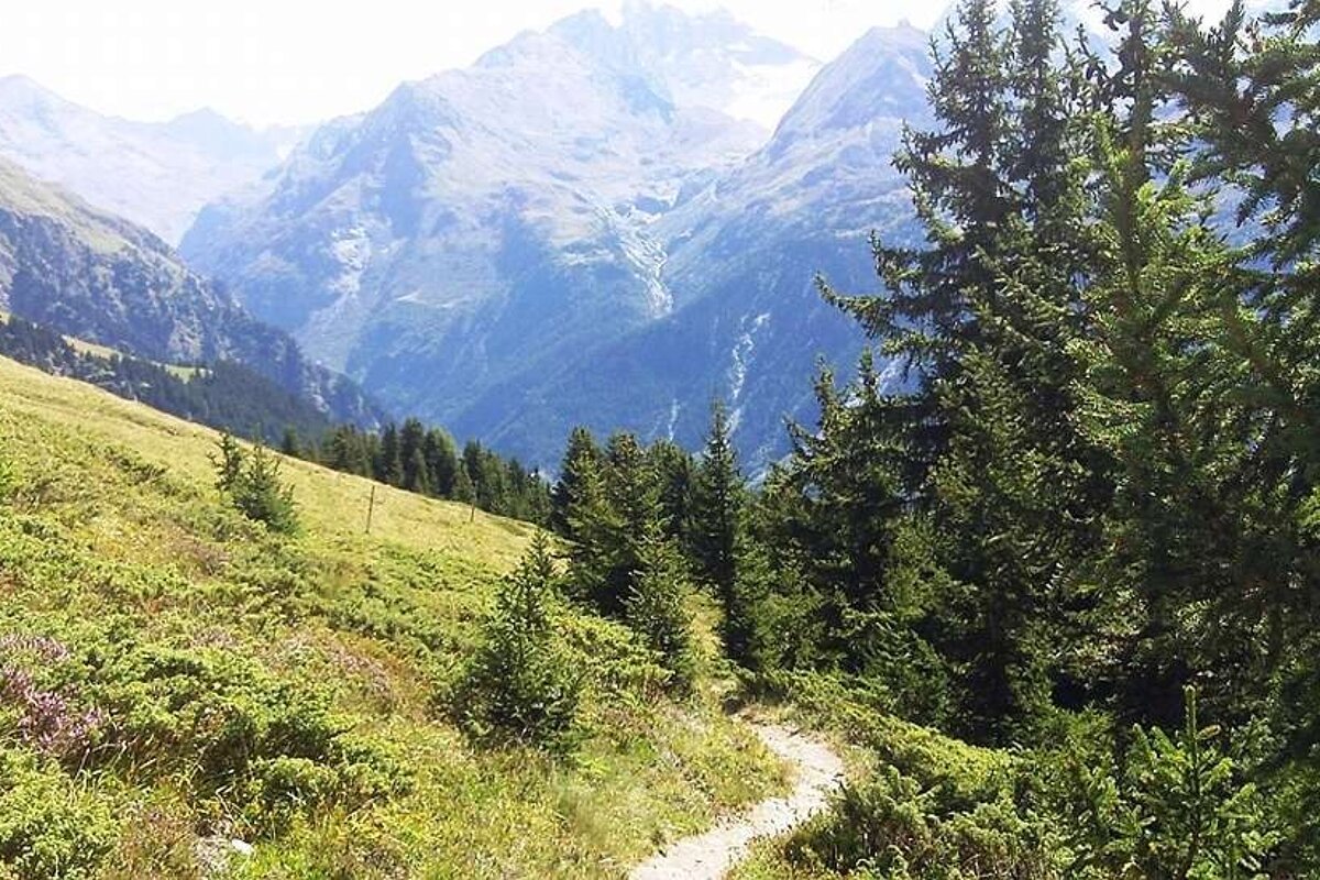 An image of a summer trail in Verbier