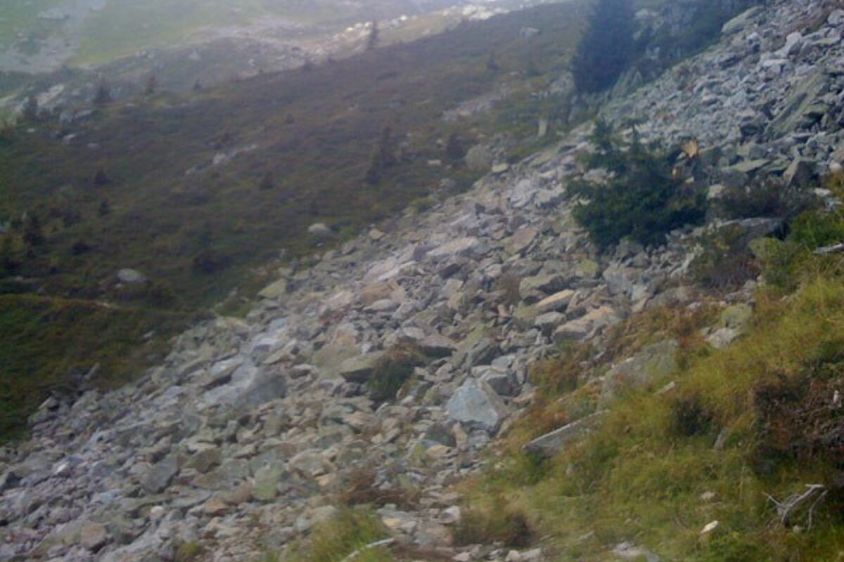 A rocky hillside with trees in the background
