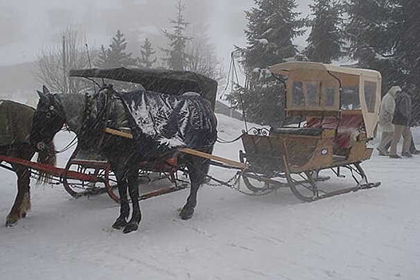 Buses Guide Avoriaz