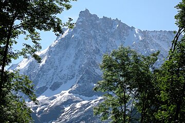 A snowy mountain with trees in the foreground