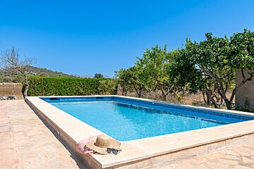 A straw hat sits on the edge of a swimming pool