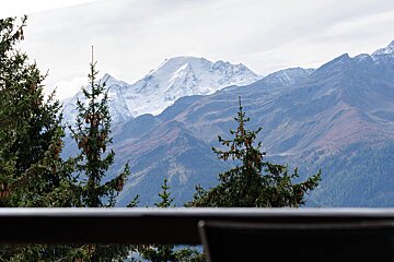 A view of a mountain range with trees in the foreground