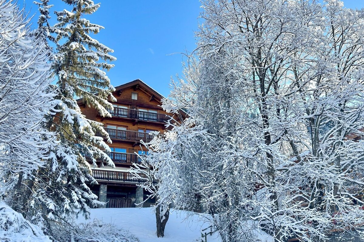 A multi-story wooden chalet surrounded by snow-covered pine and deciduous trees, with a snowy landscape under a clear blue sky.