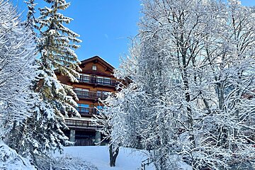 A multi-story wooden chalet surrounded by snow-covered pine and deciduous trees, with a snowy landscape under a clear blue sky.