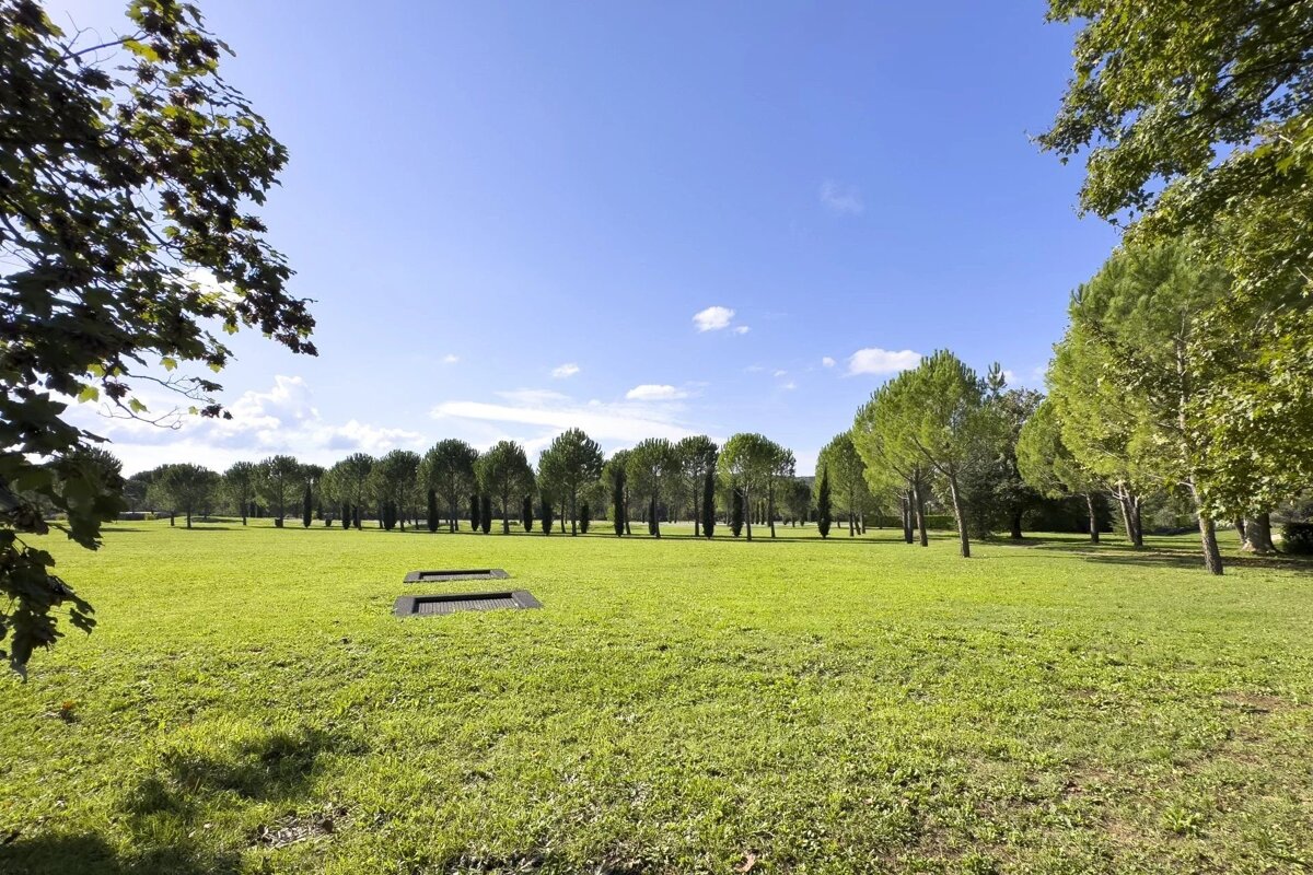 A bright, expansive green park with two ground trampolines, bordered by rows of trees, all under a clear blue sky.