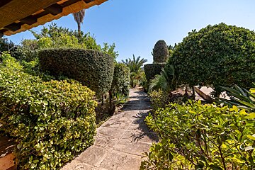 A stone walkway surrounded by bushes and trees
