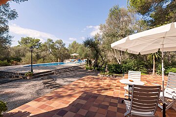 Sunny outdoor view of a tiled patio with white seating under an umbrella. A swimming pool and loungers are in the background, surrounded by olive trees and greenery.