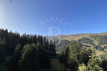 A scenic mountain vista with dense evergreen forests under a clear blue sky, featuring distant slopes and a 