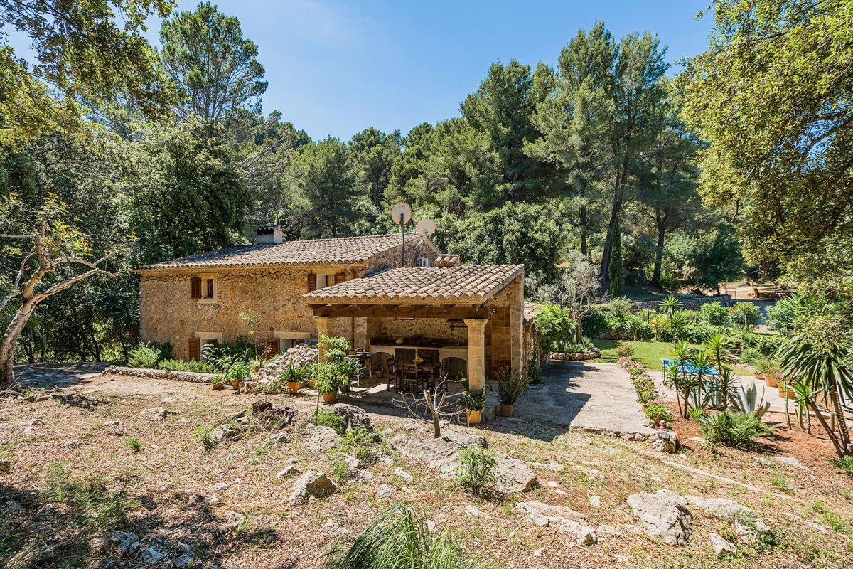 A house in the middle of a forest with a pergola