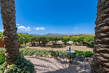 A bottle of wine sits on a table in a garden