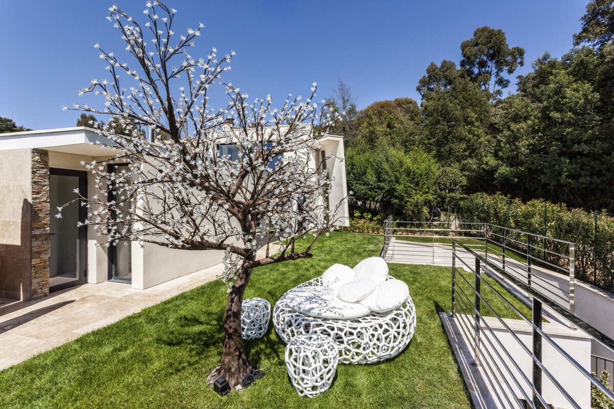 A tree with white flowers is in the backyard of a house
