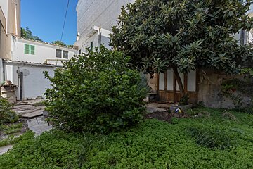 A backyard with a tree and a building in the background