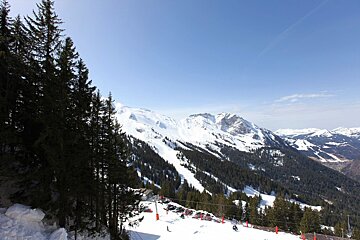 A ski slope with trees and mountains in the background