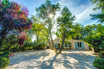 The sun is shining through the trees in front of a house