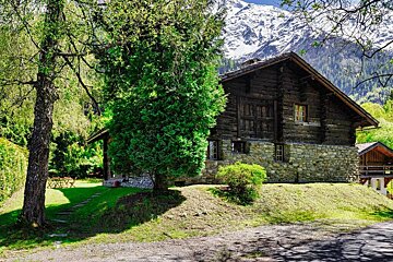 A wooden house sits in the middle of a lush green forest