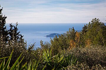 A serene coastal landscape with deep blue sea and a distant landmass under a pale blue sky, framed by vibrant green and golden foliage.