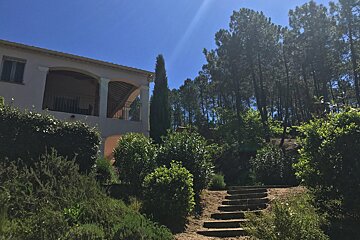 A house in the middle of a forest with stairs leading up to it