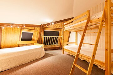 A bunk bed with a ladder is next to a single bed