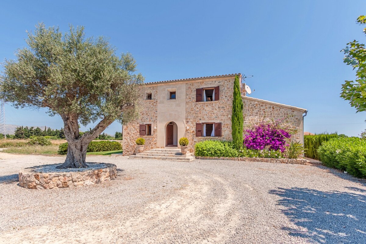 A stone house with a tree in front of it